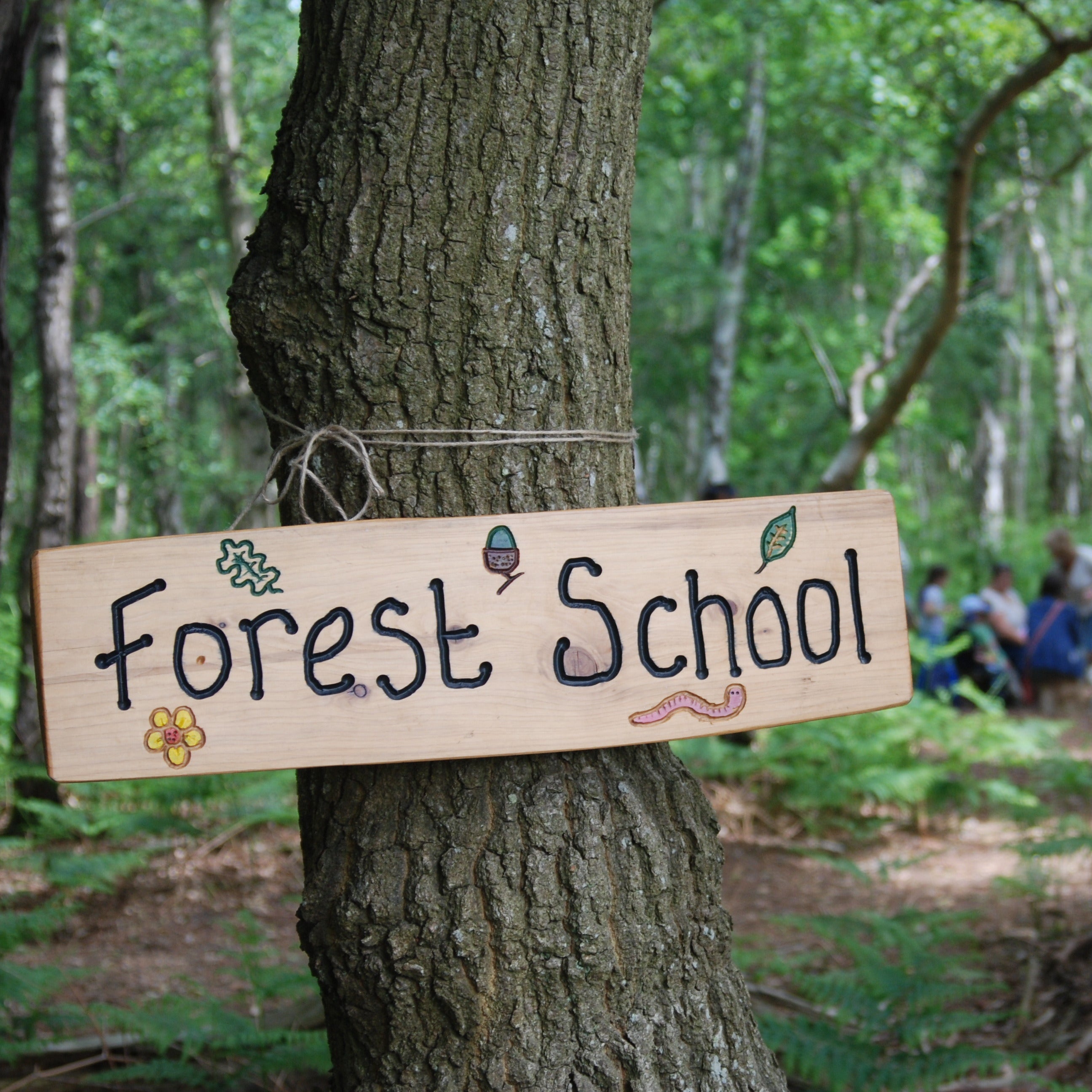 Exploring Forest Schools: Key Insights for Parents